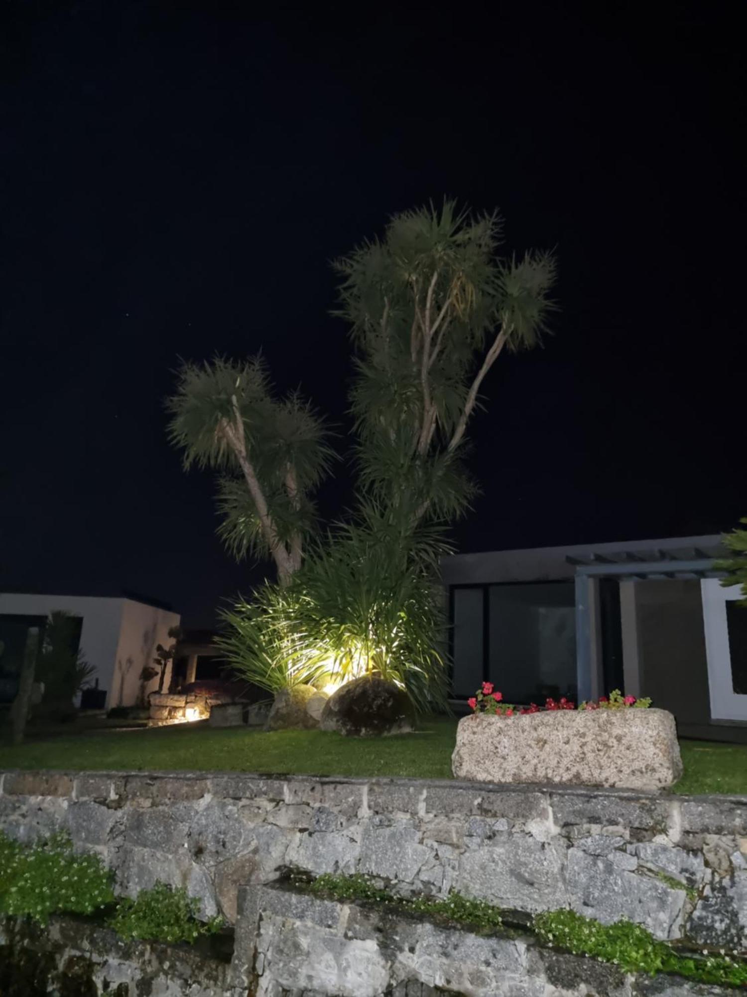 アマランテ Casa Da Leiraヴィラ エクステリア 写真