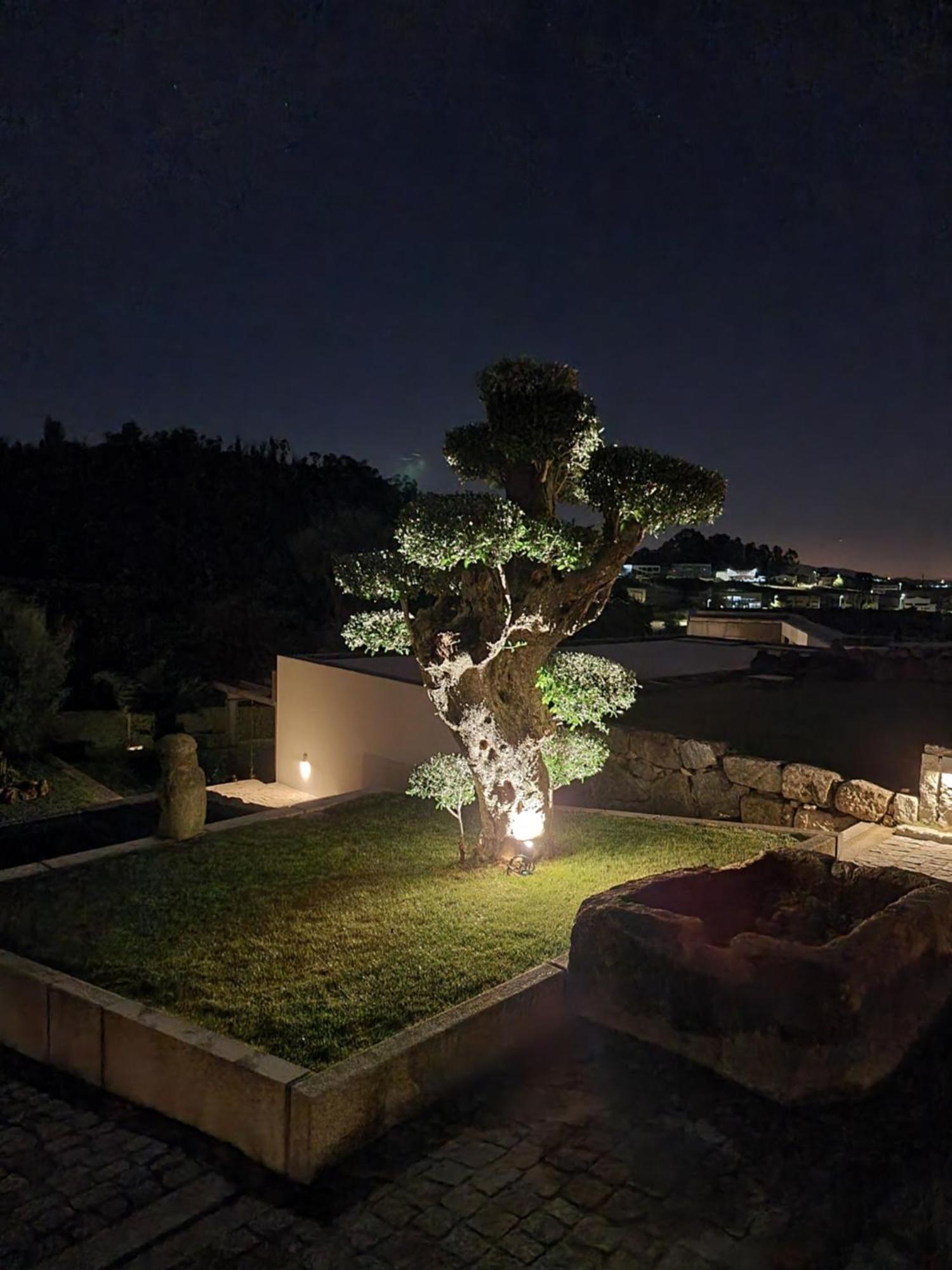 アマランテ Casa Da Leiraヴィラ エクステリア 写真