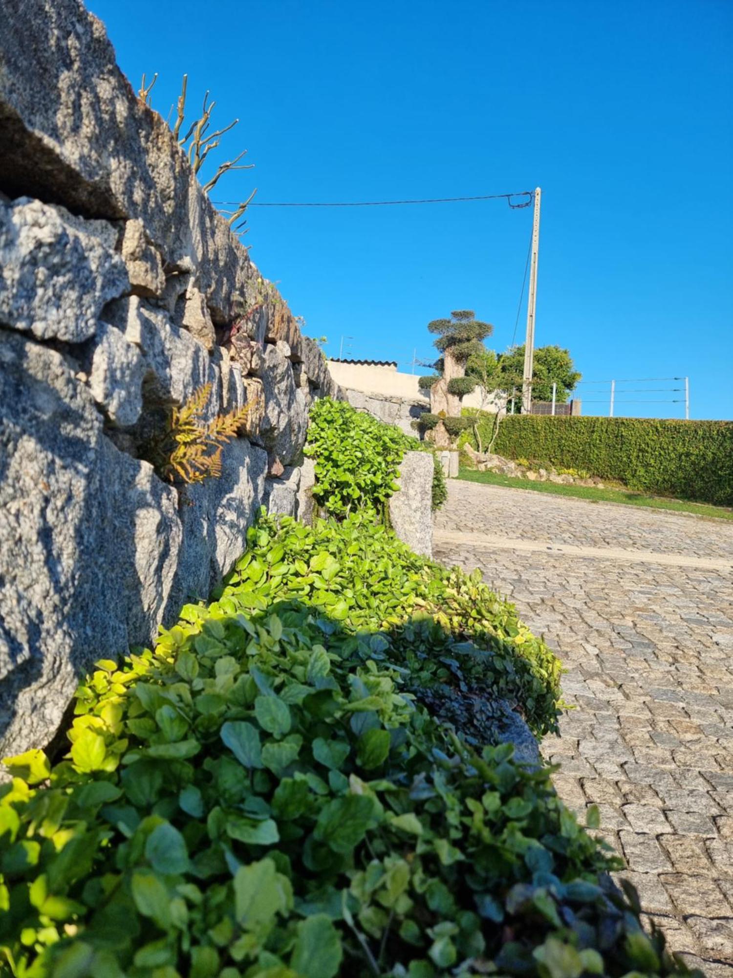 アマランテ Casa Da Leiraヴィラ エクステリア 写真