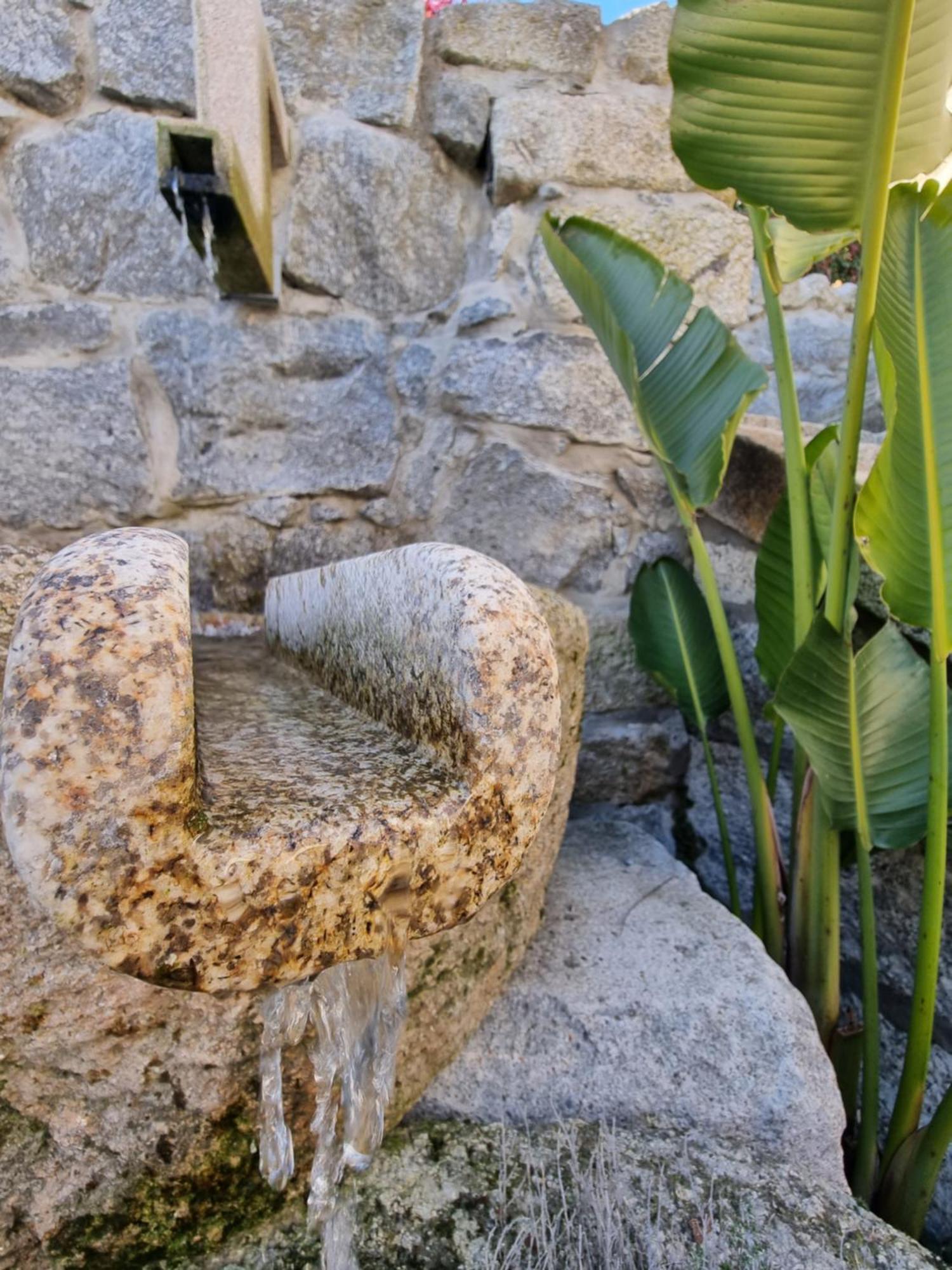 アマランテ Casa Da Leiraヴィラ エクステリア 写真